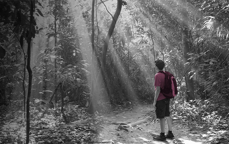 A person in a forest