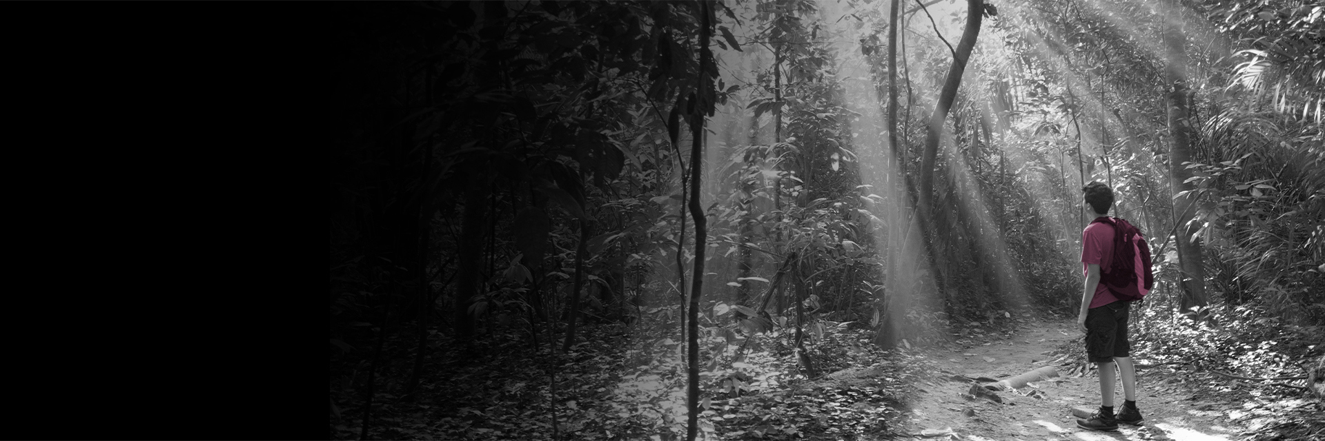 A person in a forest